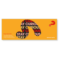 Alpha Stay Curious Orange 