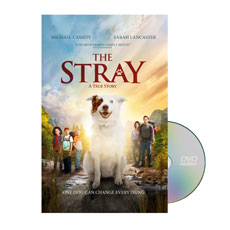 The Stray 