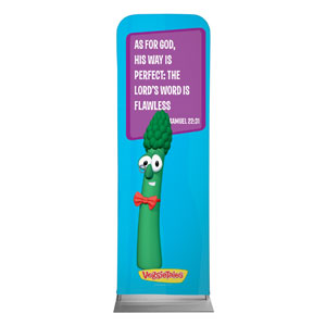 VeggieTales 2 Sam 22:31 2' x 6' Sleeve Banner