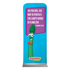 VeggieTales 2 Sam 22:31 2'7" x 6'7" Sleeve Banners