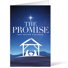 The Promise Manger 