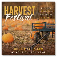 Harvest Festival Pumpkins 