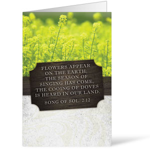 Fresh Air Wild Flowers 8.5 x 14 Bulletins