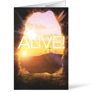 Alive Sunrise Tomb Bulletins