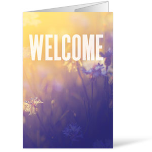 Sunlight Color Wash Cornflowers Bulletins