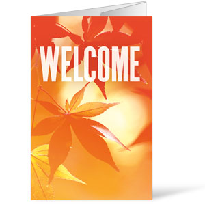 Sunlight Color Wash Autumn Maple Leaves Bulletins