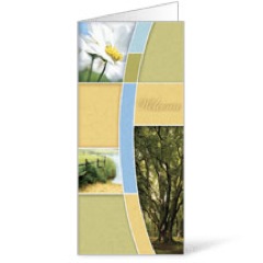 Summer Trees 11 x 17 Bulletins