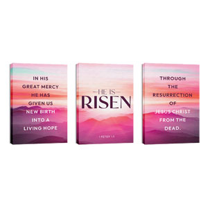 Risen Pink Sunrise Triptych 24in x 36in Canvas Prints