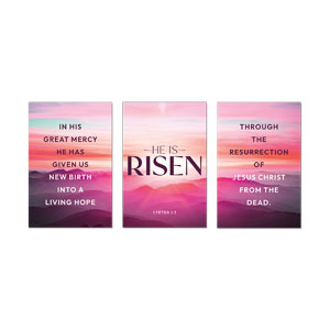 Risen Pink Sunrise Triptych 23" x 34.5" Rigid Wall Art