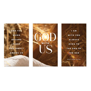 God With Us Manger Gold Triptych 3 x 5 Vinyl Banner